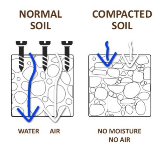 RootBridge – bridges for tree root protection | Green Grid Systems ...