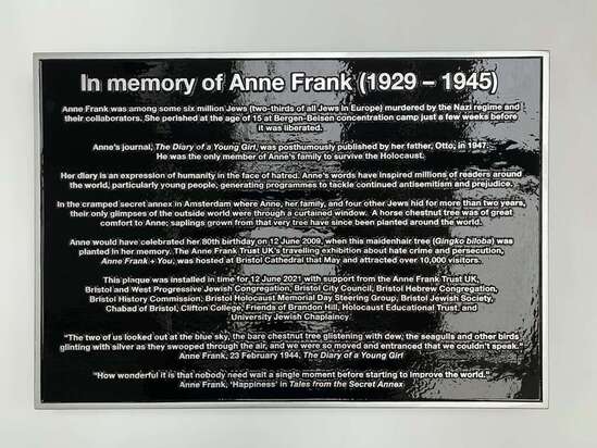 anne frank family tree