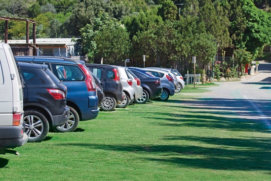 Fibreturf Rootzone for reinforced grassed car parks