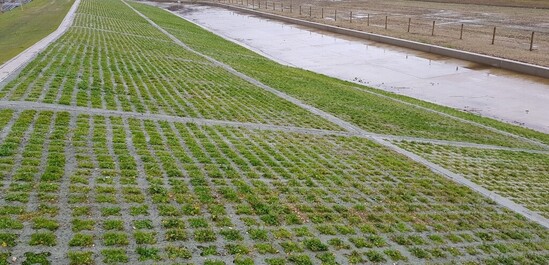 Grasscrete used on spillway slopes - with grass growing