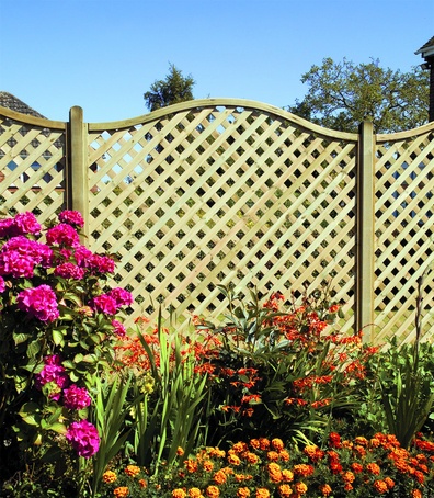 Elite decorative fence and trellis panels | AVS Fencing | ESI External ...