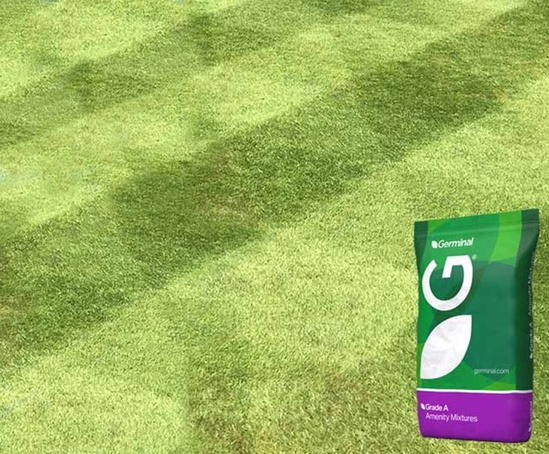 A2 grade 'A' grass seed mixture for quality lawns