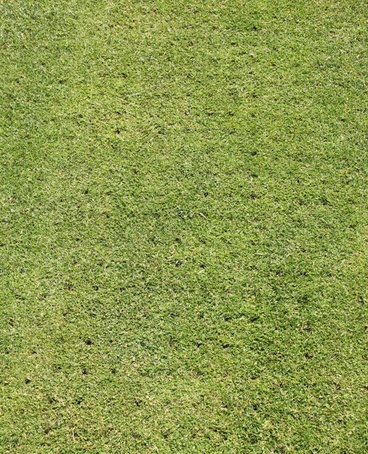 Overseeding damaged fairways at Wildernesse Golf Club | Germinal ...