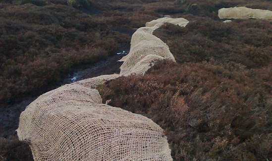 Erosamat Type 1 - Erosion Control Mat | ABG Geosynthetics | ESI ...