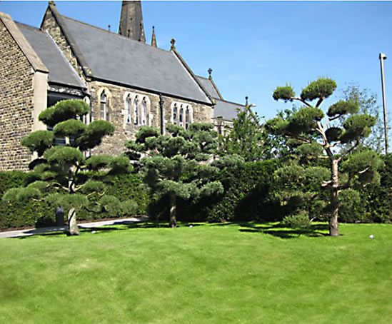Angel Field Garden Liverpool Hope University Lorenz Von Ehren Esi External Works