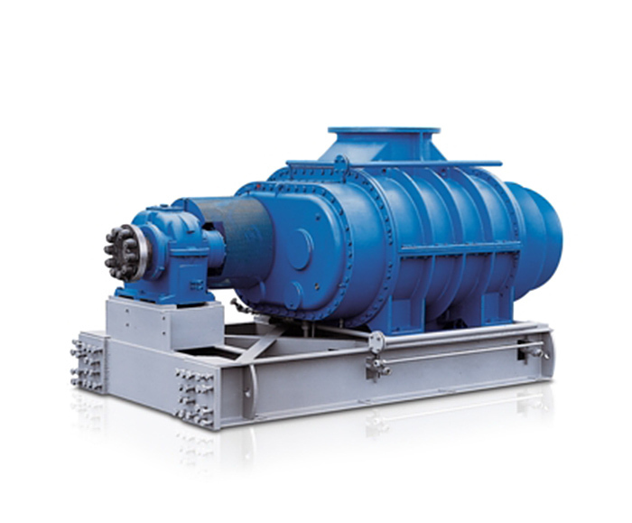 Series GR positive displacement blower for process gases -
