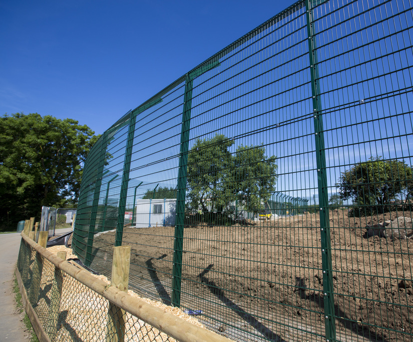 Lion enclosure fencing for Folly Farm Zoo, Wales CLD Fencing Systems