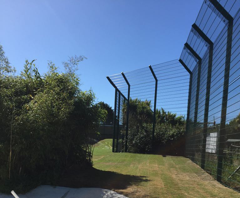 Zoo enclosure provides safe haven for rescue lions CLD Fencing