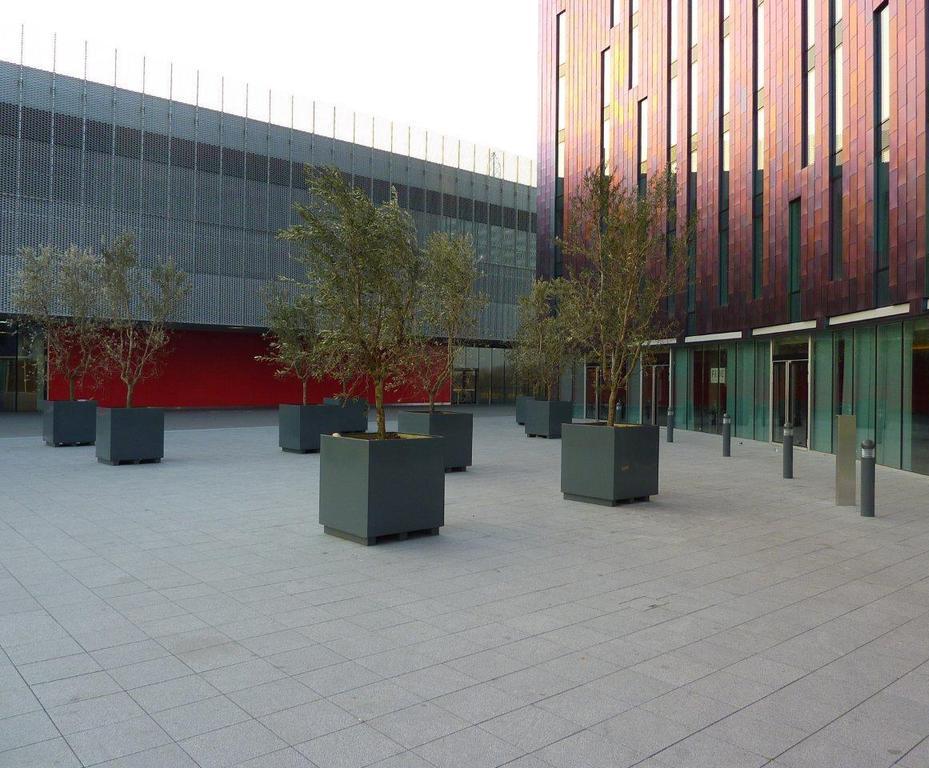 DPH® adjustable pedestals Buzon UK ESI External Works