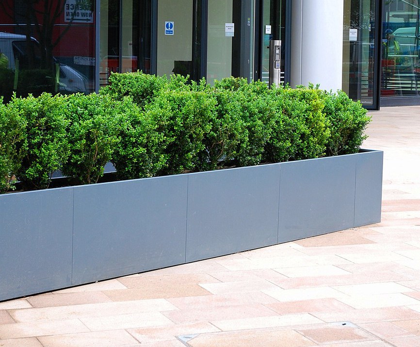 Bespoke steel street planters, 10 Hammersmith Grove IOTA ESI
