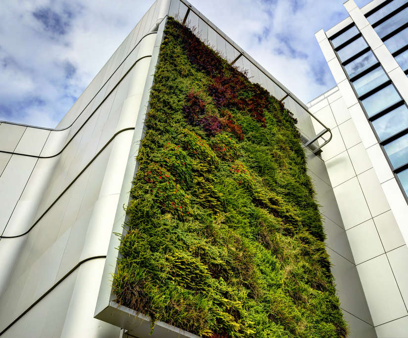 Bespoke steel planters for University of Bristol IOTA ESI External