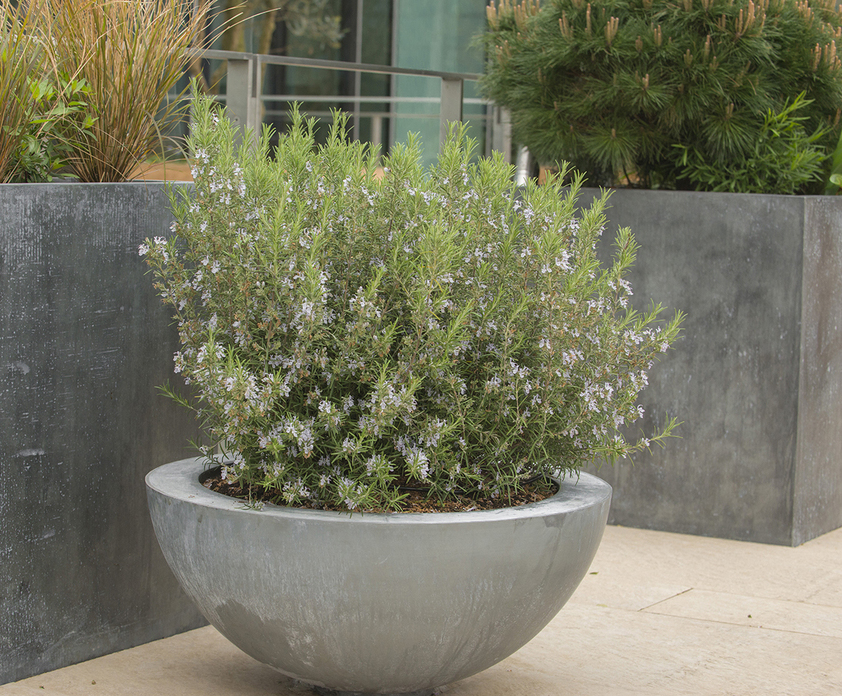 Bespoke zinc planters | IOTA | ESI External Works