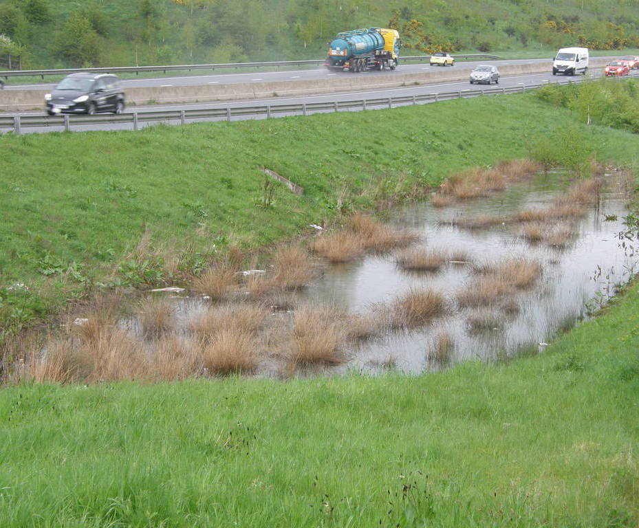 SDS AquaXchange Engineered Filter Media SDS ESI External Works