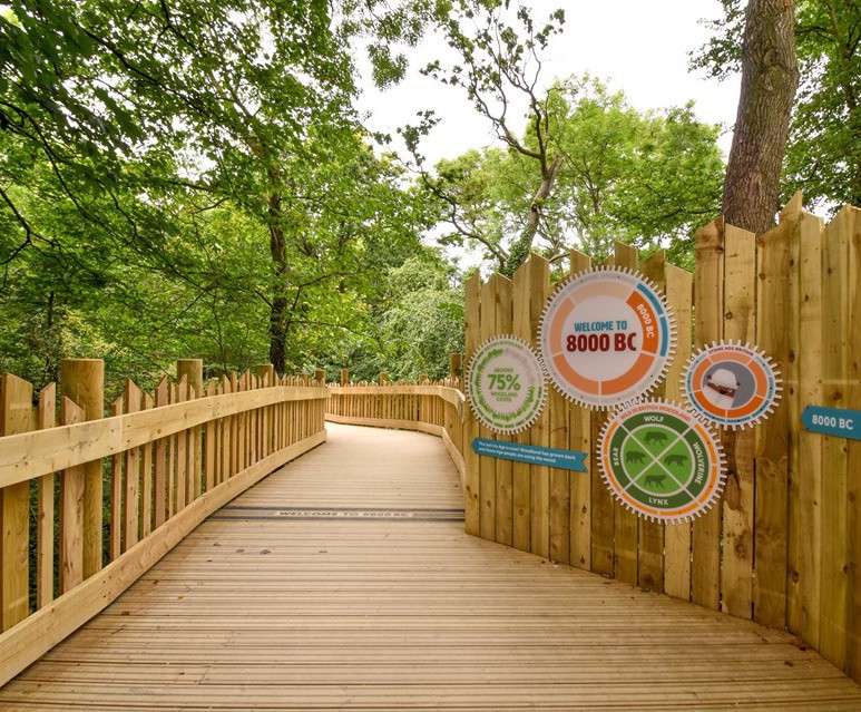NonSlip Decking Boardwalk At Bear Wood, Bristol Zoo Gripsure ESI