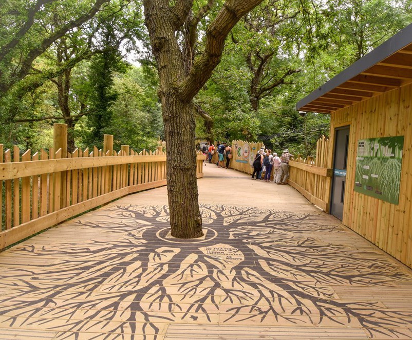NonSlip Decking Boardwalk At Bear Wood, Bristol Zoo Gripsure ESI