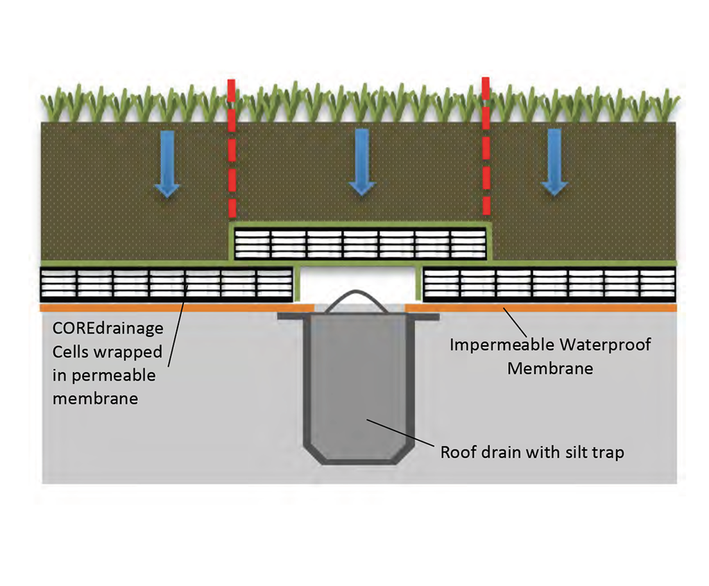 CORE Drainage cells for roof gardens and green roofs CORE Landscape