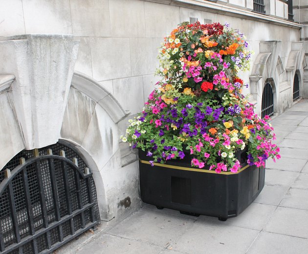 Selfwatering planters help brighten Belfast open spaces Amberol