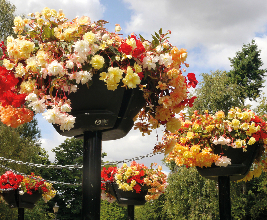 UpthePole selfwatering plant basket Amberol ESI External Works