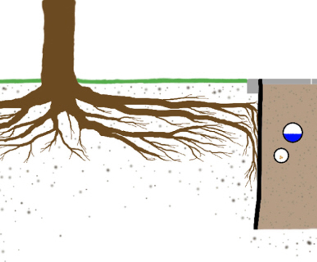Root Barrier C3 reinforced polyethylene membrane HyTex ESI