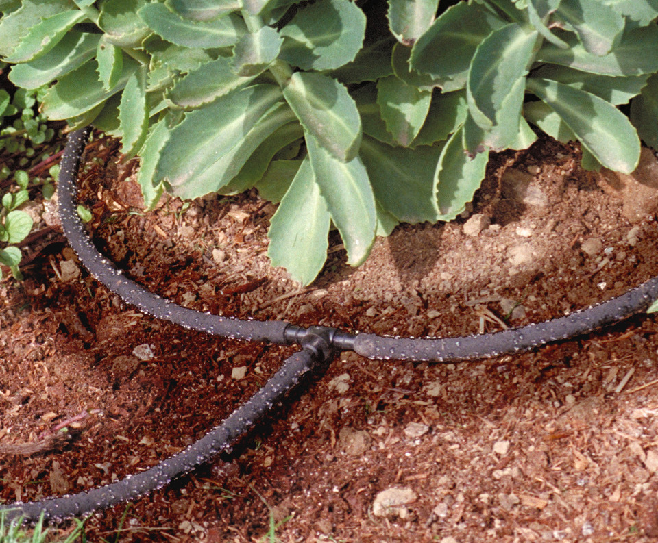 LeakyPipe® irrigation system Leaky Pipe Systems ESI External Works