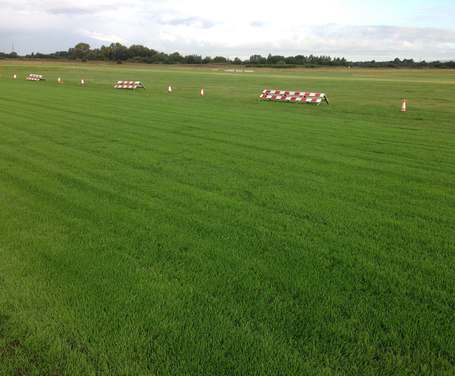 DLF helps improve Manchester's allgrass City Airport DLF Seeds ESI
