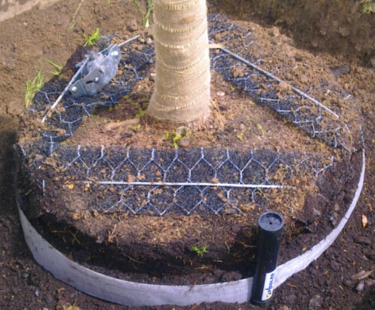 Piddler® Tree Irrigation And Aeration System Platipus Anchors Ltd