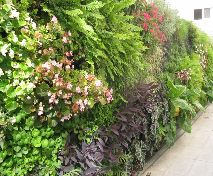 Vertiss modular living green wall system | Tendercare Nurseries | ESI ...