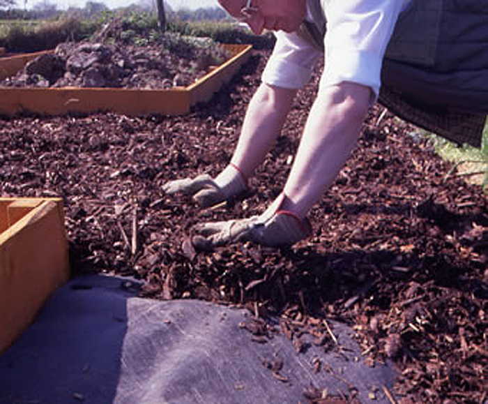 TERRAM WeedGuard geotextile for weed suppression Terram ESI