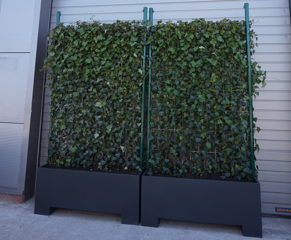 Bespoke mobile barrier planter with screening hedge Livingreen Design