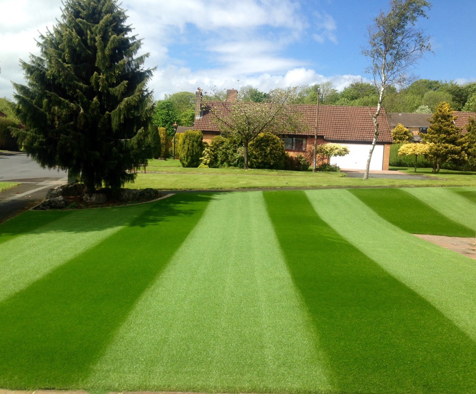 Premier league turf for Bolton garden Johnsons Sports Seed ESI