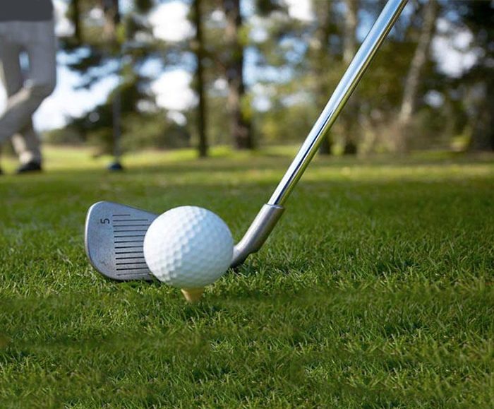 Bespoke grass seed selection for golf course extension Johnsons