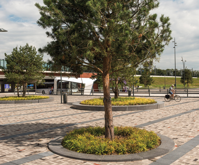 Architectural concrete tree surrounds, Dronten Station | URBASTYLE ...