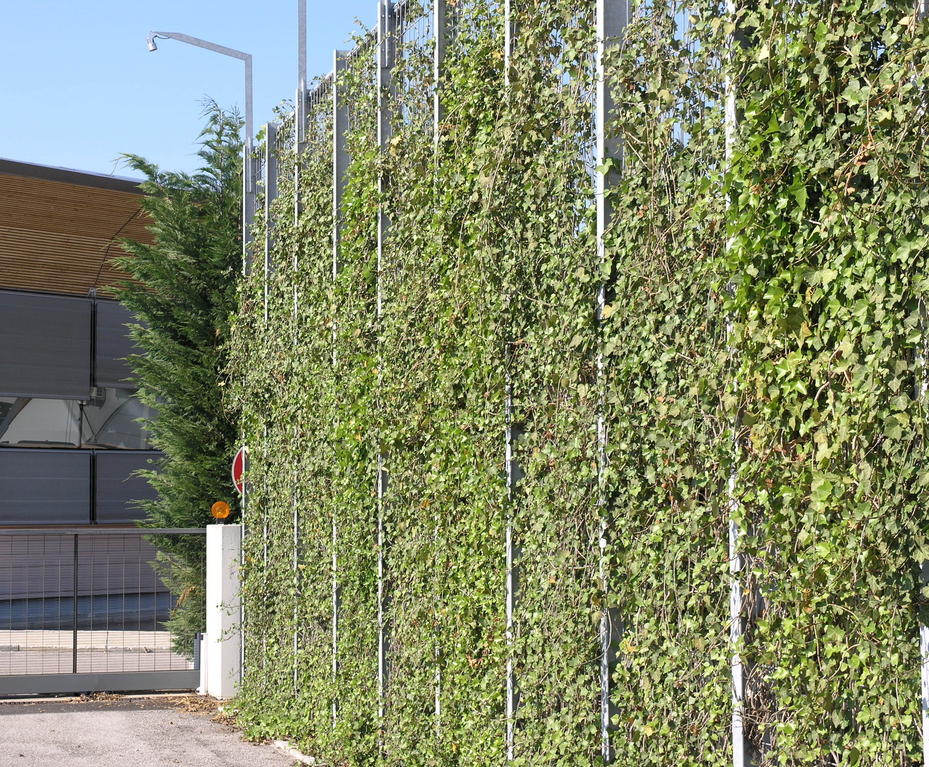 Green wall - architectural grating | Lang+Fulton | ESI Building Design