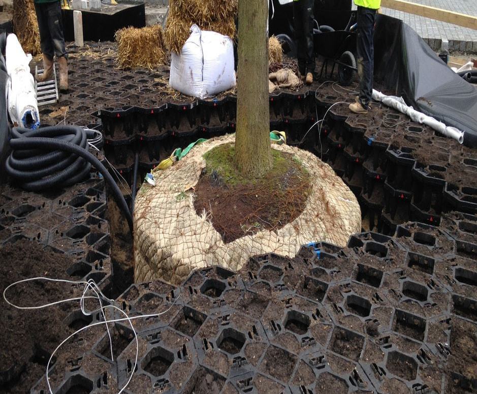 Tree pit system 5 Broadgate, London GreenBlue Urban Ltd ESI External Works