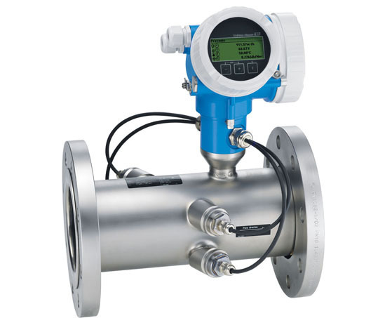Prosonic Flow B 200 Endress Hauser Esi Enviropro