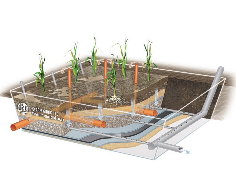 Ferric sludge reed bed treatment for potable water | ARM Ltd | ESI ...