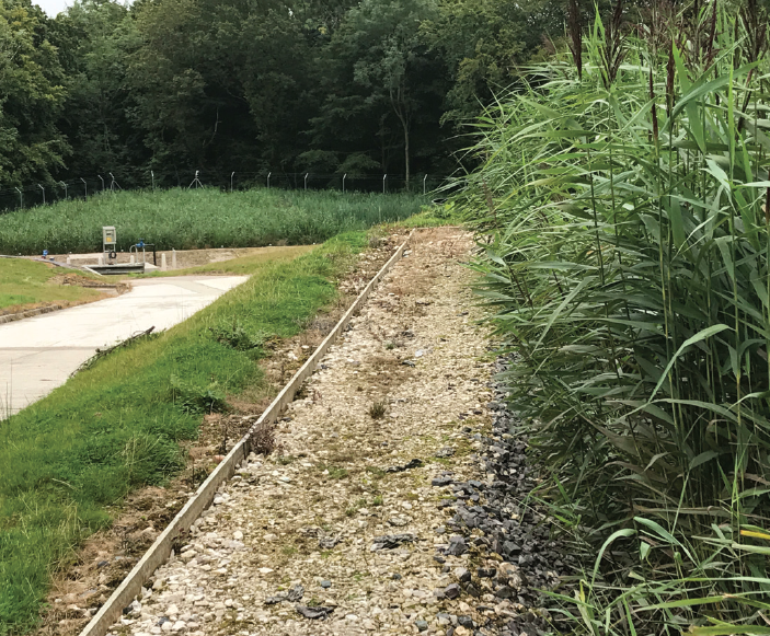 Vertical reedbed system for municipal sewage treatment ARM Ltd ESI