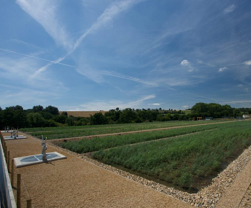 Horizontal flow reedbeds for wastewater treatment ARM Ltd ESI Enviropro