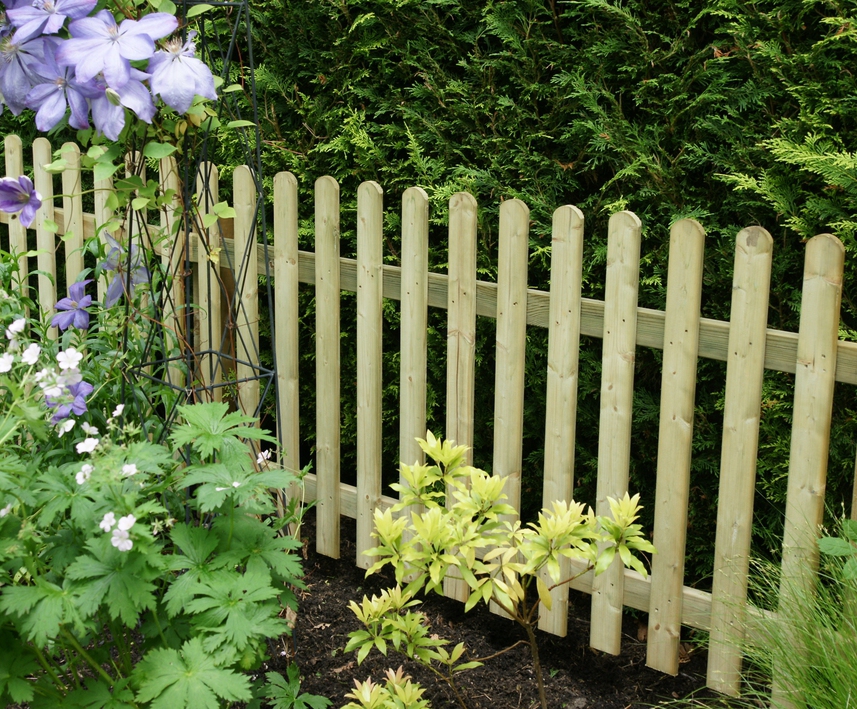 Timber picket fencing for residential applications AVS Fencing ESI