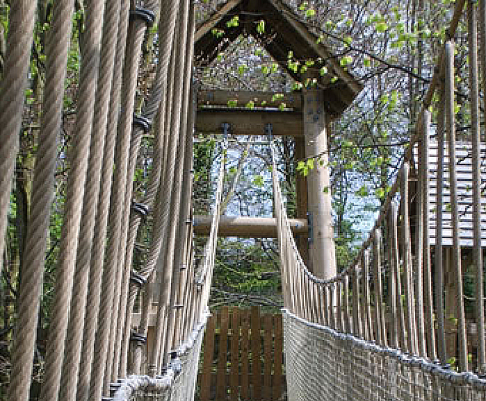 Adventure play aerial walkway, Alnwick Gardens Timberplay ESI