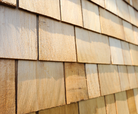 hospice macmillan shingles