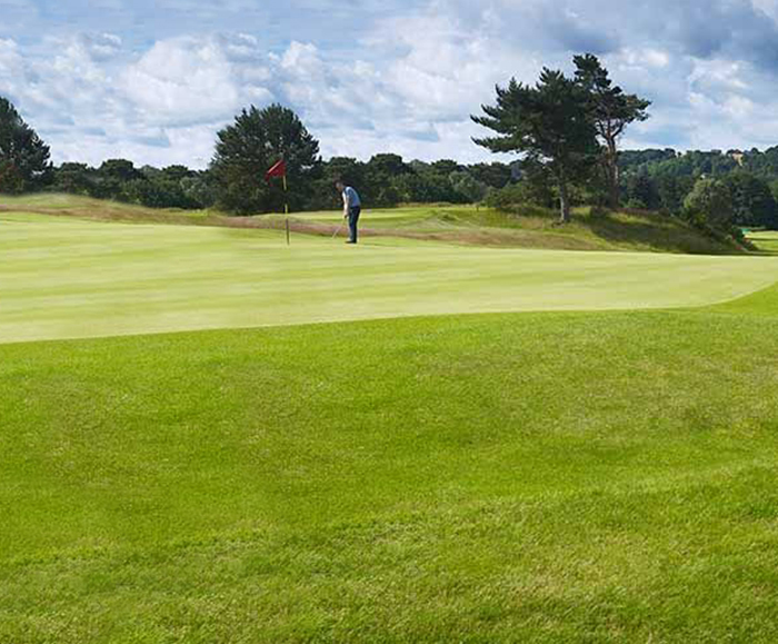 A11 grade 'A' golf greens overseeding mixture Germinal Amenity ESI