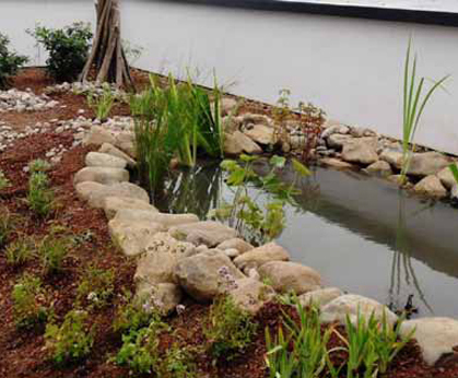 Biodiverse green roof - Bradford University