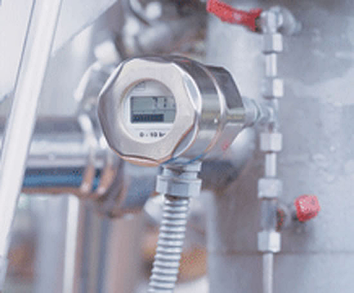 Cerabar M pressure transmitter Endress+Hauser ESI Enviropro