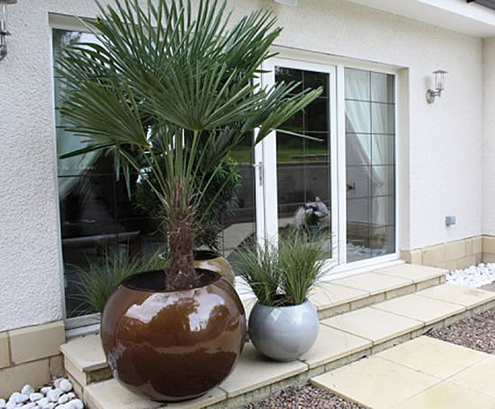 Sphere Planters (Exterior) Livingreen Design ESI External Works