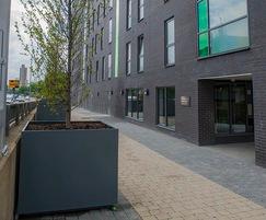 Bespoke steel tree planters for Telford Homes