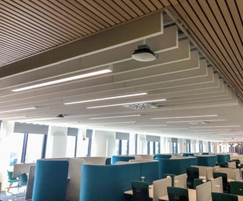 Metal baffles with wood effect finish and wall panels