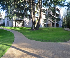 Resin bound porous surface easy to clean under trees