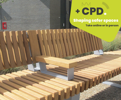 CPD - Shaping safer spaces