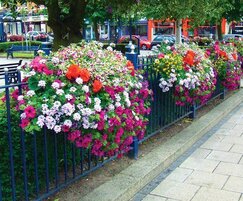 Amberol: New sustainability criteria for Britain in Bloom